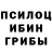 Псилоцибиновые грибы мухоморы Ann Shafeeva