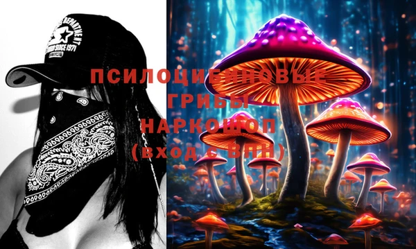 мяу мяу кристалл Няндома