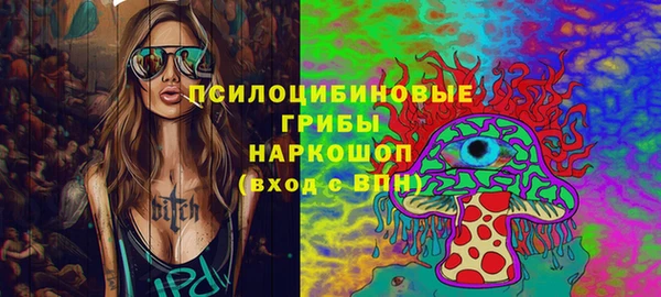 мдма Новозыбков