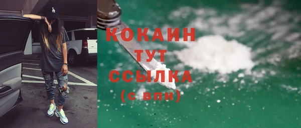 мяу мяу кристалл Няндома