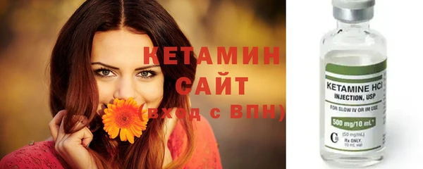 мяу мяу кристалл Няндома