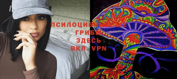 PSILOCYBIN Новодвинск