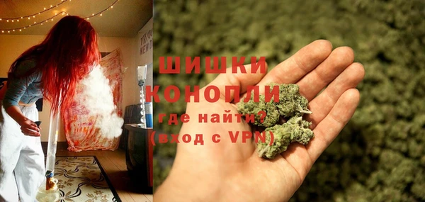мяу мяу кристалл Няндома
