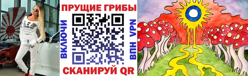 Псилоцибиновые грибы Cubensis  даркнет формула  Рыльск  где продают наркотики 